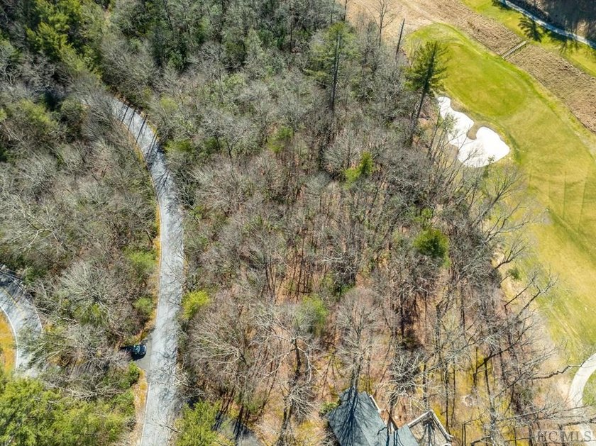 This vacant lot spans .81 acres, presenting an ideal canvas for - photo 6