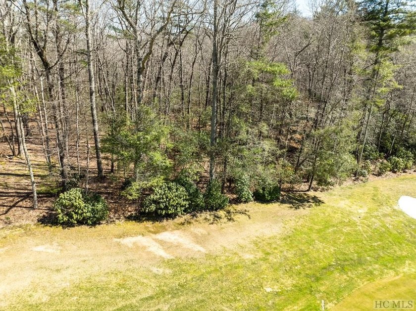 This vacant lot spans .81 acres, presenting an ideal canvas for - photo 7