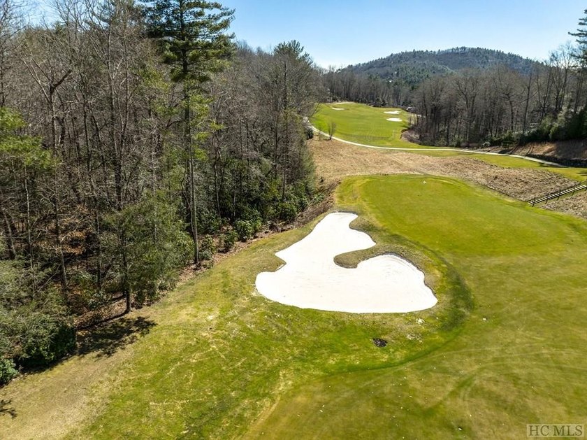 This vacant lot spans .81 acres, presenting an ideal canvas for - photo 8