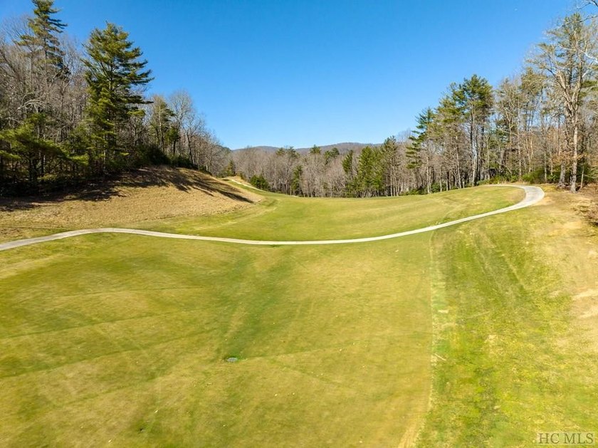 This vacant lot spans .81 acres, presenting an ideal canvas for - photo 9