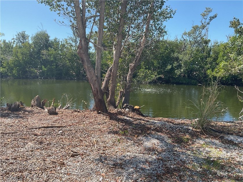 GULF ACCESS LOT ---Located in beautiful Pine Island Cove 55+ - photo 3