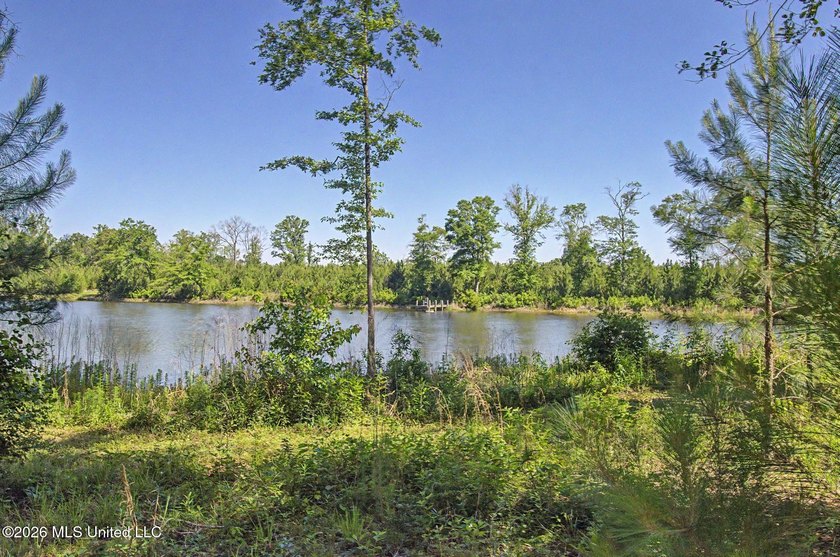 Tucked away among the rolling hills of South Mississippi, this - photo 36