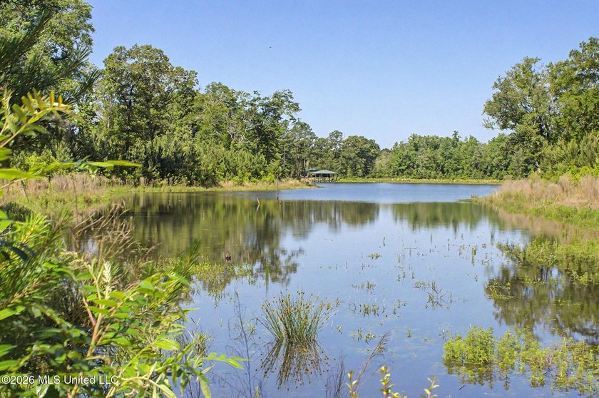 Tucked away among the rolling hills of South Mississippi, this - photo 37