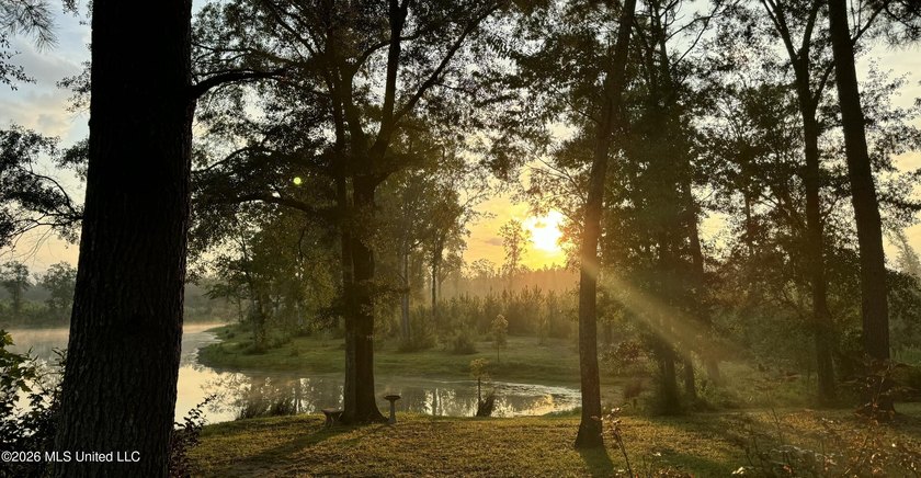 Tucked away among the rolling hills of South Mississippi, this - photo 39