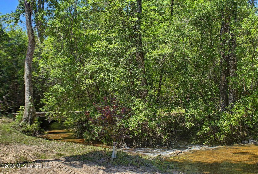 Tucked away among the rolling hills of South Mississippi, this - photo 40