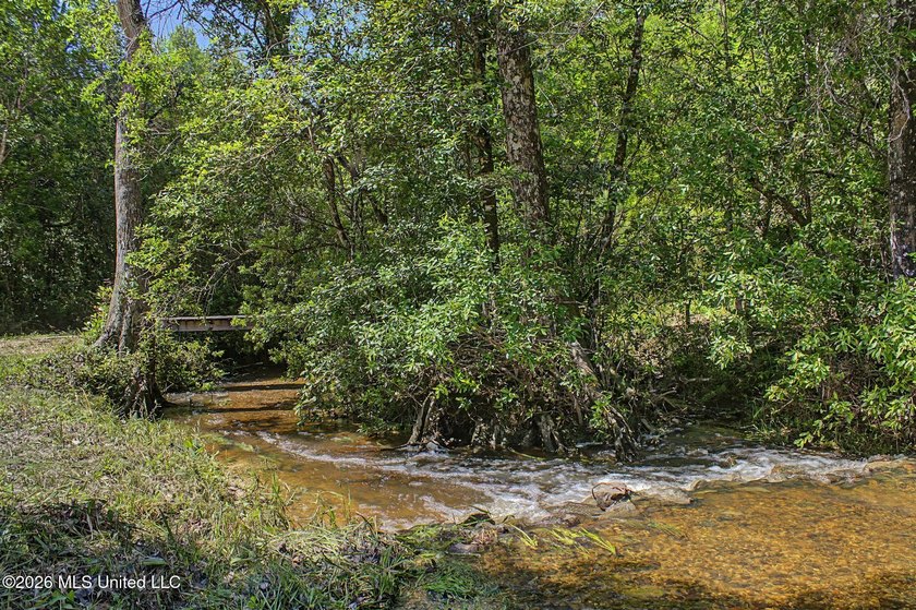Tucked away among the rolling hills of South Mississippi, this - photo 41