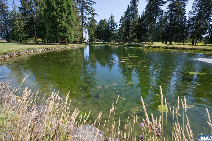 Quality-built custom home by Joe Fazio. Golf course views from - photo 49