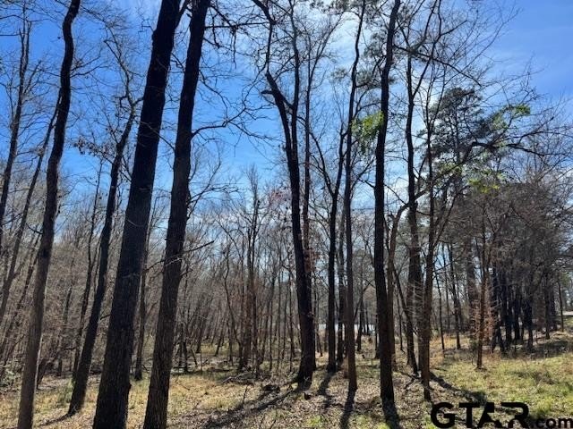 Peaceful, private lake living awaits on this beautiful 4+ acre - photo 2