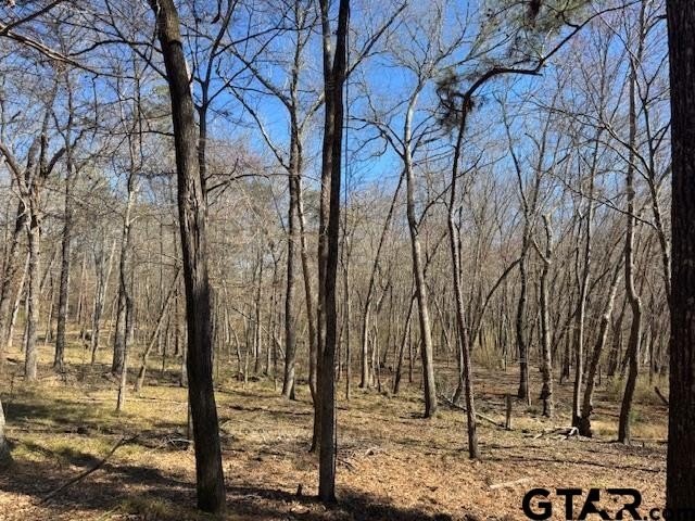 Peaceful, private lake living awaits on this beautiful 4+ acre - photo 3