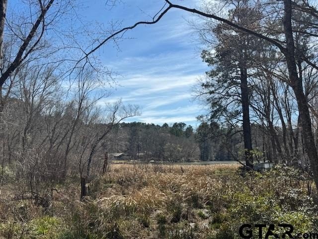 Peaceful, private lake living awaits on this beautiful 4+ acre - photo 4