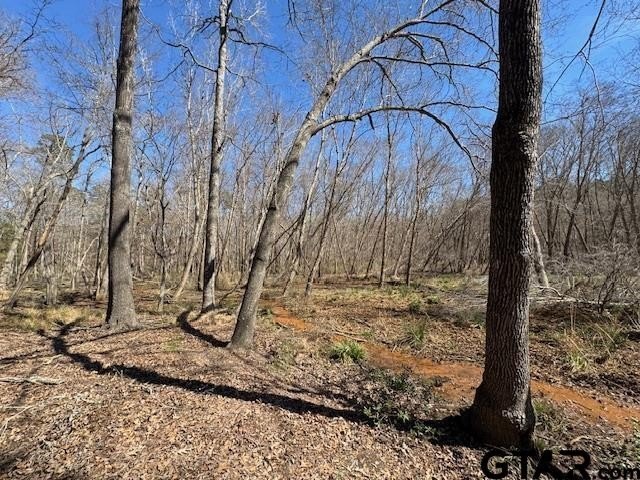 Peaceful, private lake living awaits on this beautiful 4+ acre - photo 5