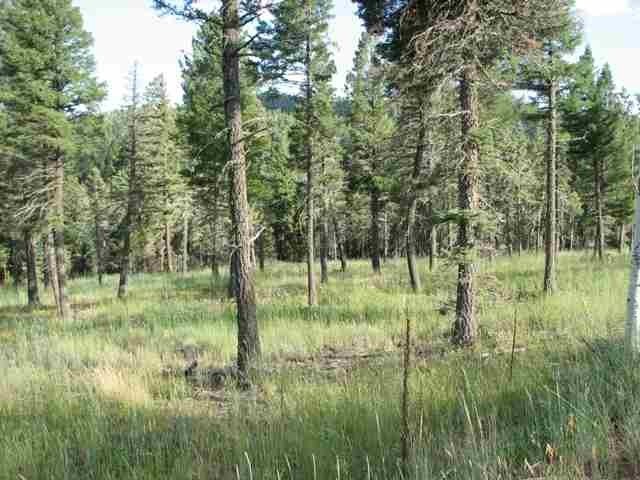 Fabulous 10 acre parcel with great views and easy access off - photo 2