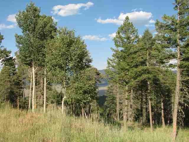 Fabulous 10 acre parcel with great views and easy access off - photo 3