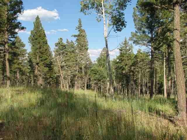 Fabulous 10 acre parcel with great views and easy access off - photo 5