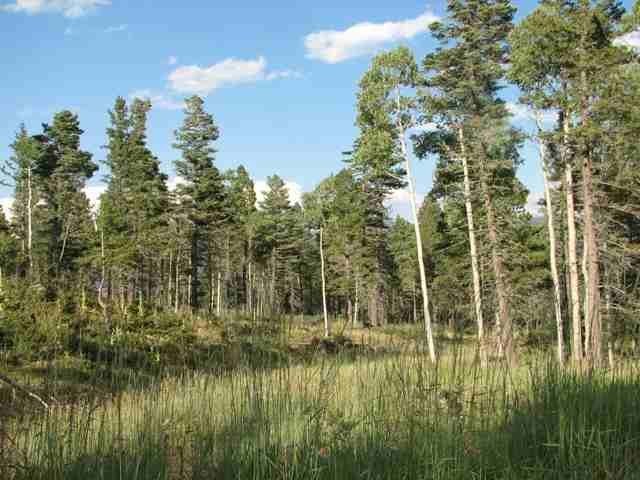 Fabulous 10 acre parcel with great views and easy access off - photo 6