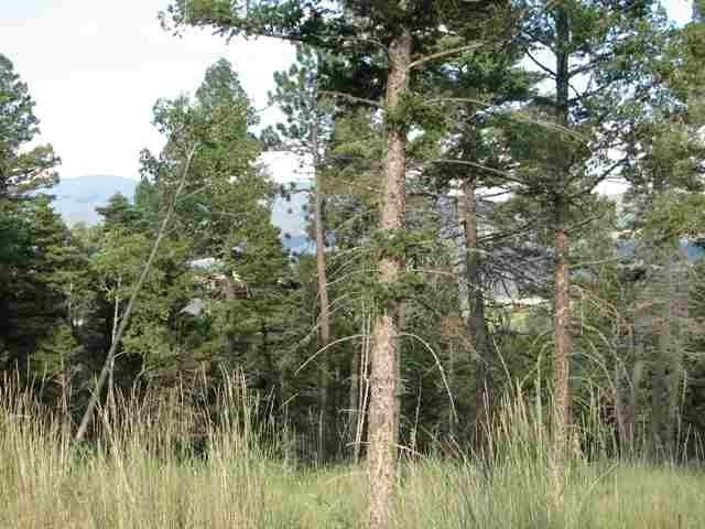 Fabulous 10 acre parcel with great views and easy access off - photo 7