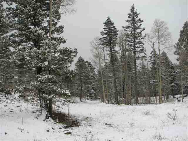 Fabulous 10 acre parcel with great views and easy access off - photo 8