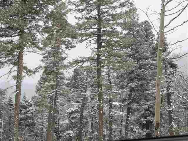 Fabulous 10 acre parcel with great views and easy access off - photo 9