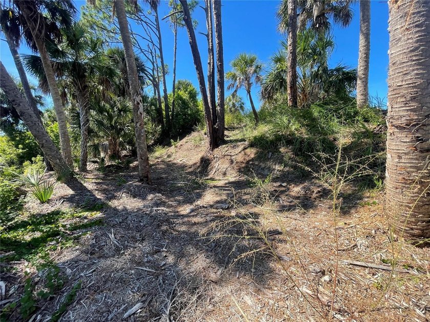 Coastal Waterfront Property On Salt Water Canal Front Leading to - photo 10