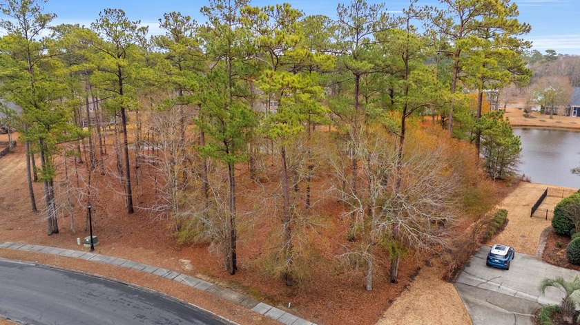 Build your dream home on this 0.89/ac water lot in the desirable - photo 2