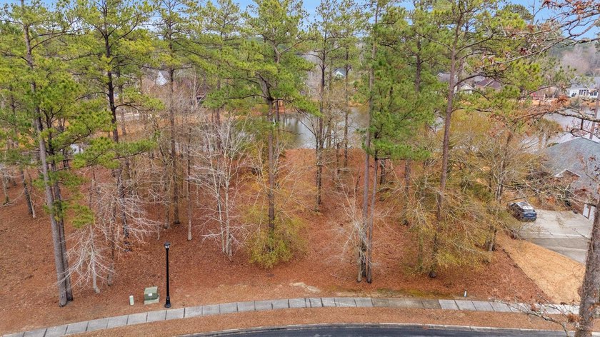Build your dream home on this 0.89/ac water lot in the desirable - photo 3