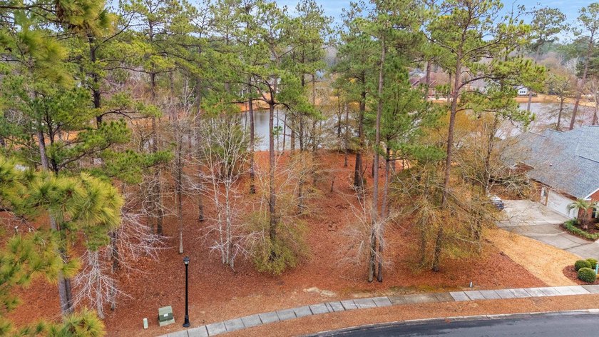 Build your dream home on this 0.89/ac water lot in the desirable - photo 4