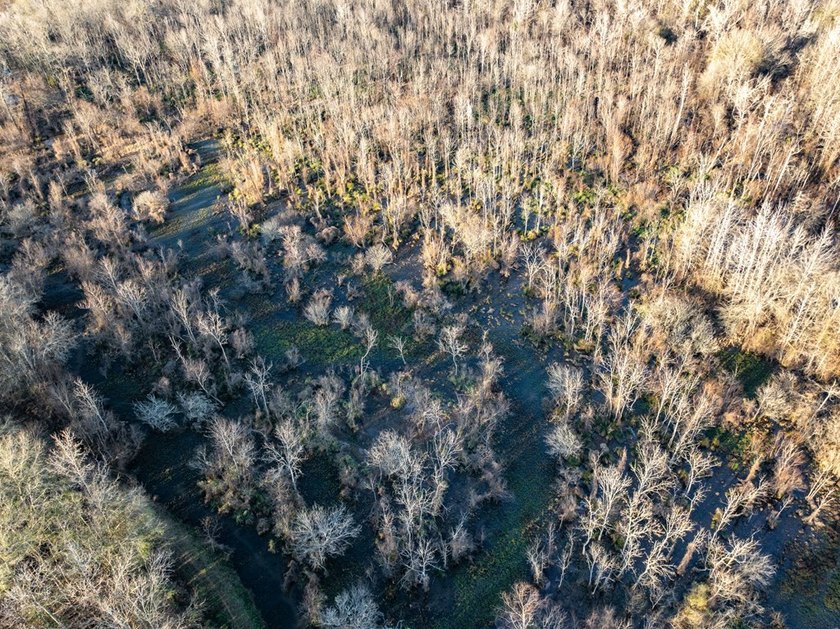 Texas recreational property with fishing lake access. The 5-acre - photo 3