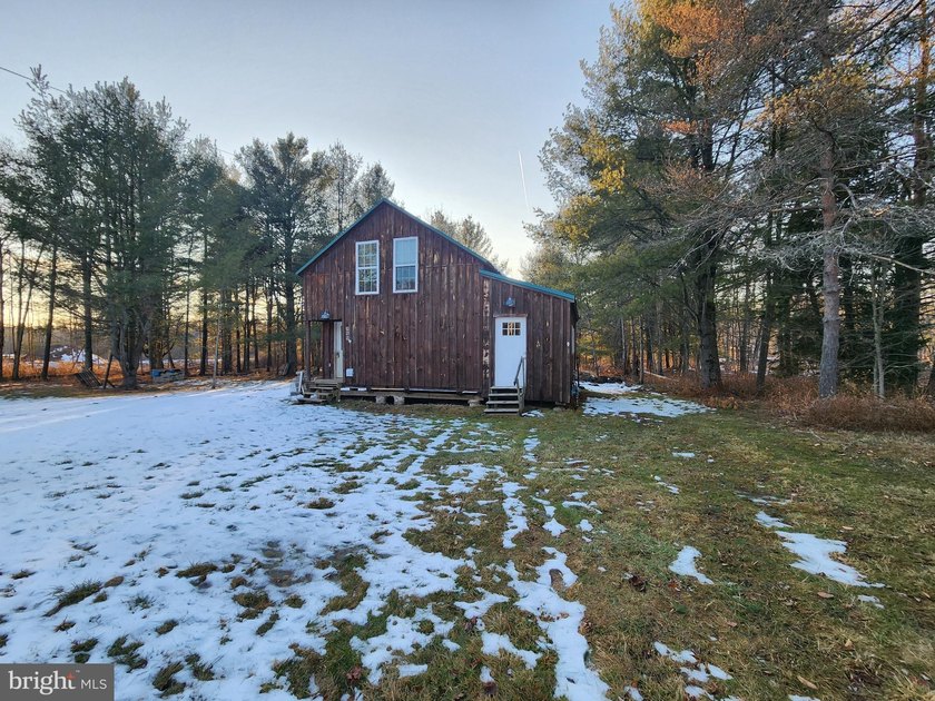 Recreational use wood frame cabin with detached garage and pond - photo 11