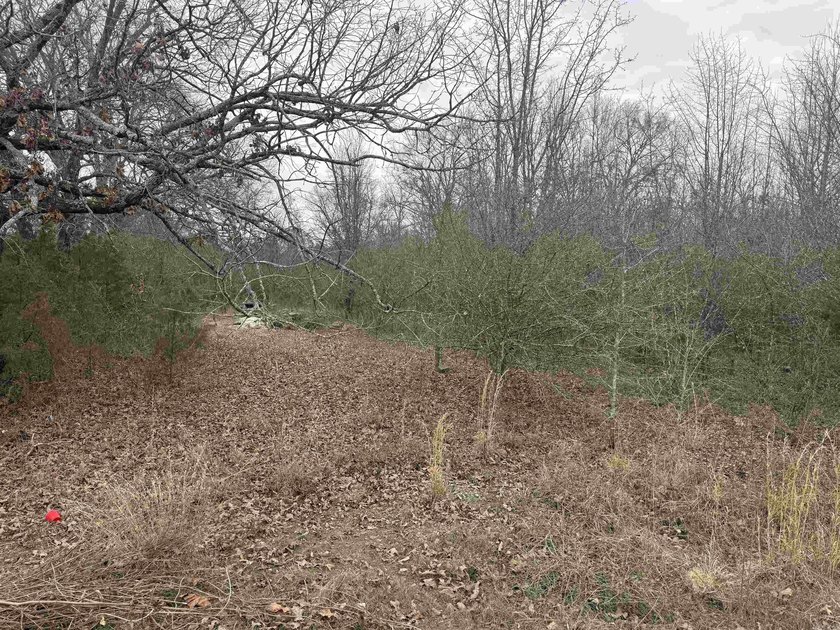 Build Your Dream Home on This Spacious 1/2-Acre Lot in Conway! - photo 3