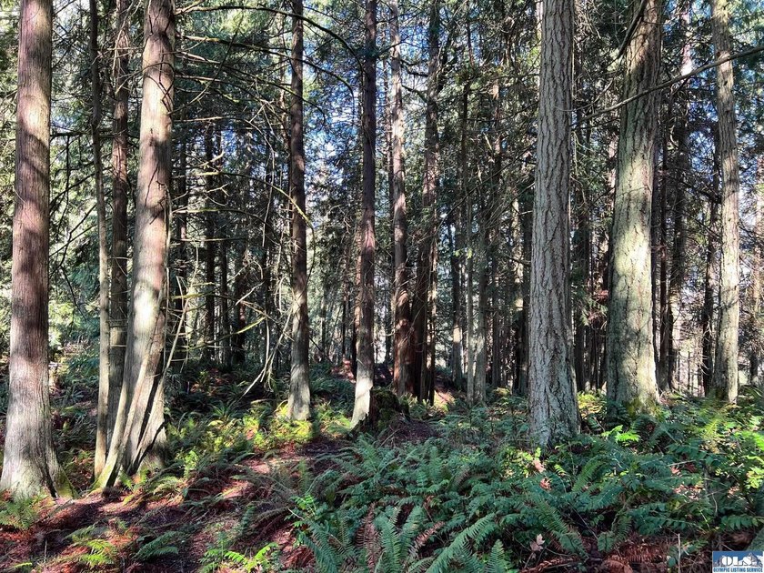 Enjoy water and mountain views from this beautifully treed 3.04 - photo 15