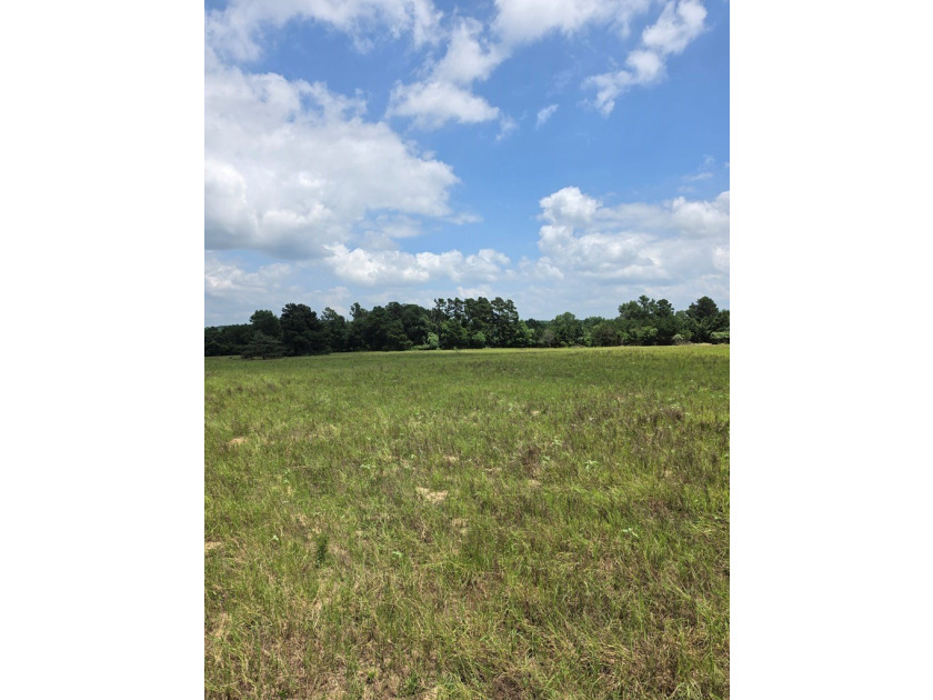 Discover the perfect blend of open pasture, mature woods, and - photo 4
