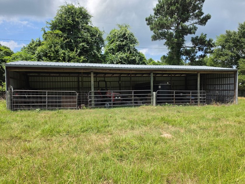 Discover the perfect blend of open pasture, mature woods, and - photo 6