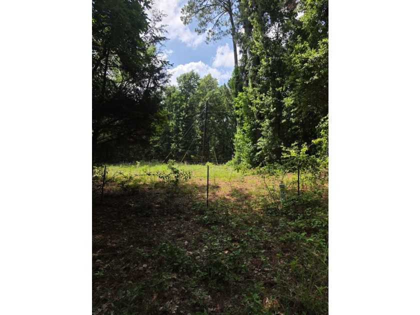 Discover the perfect blend of open pasture, mature woods, and - photo 8