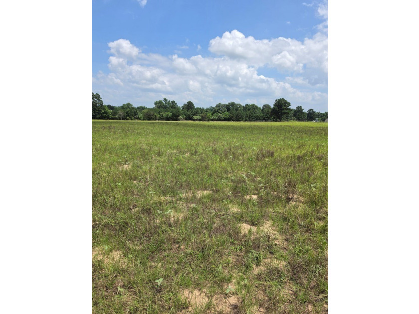 Discover the perfect blend of open pasture, mature woods, and - photo 9