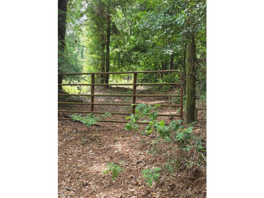 Discover the perfect blend of open pasture, mature woods, and - photo 10