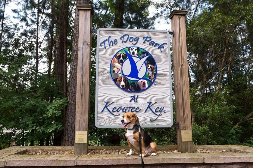 Spinnaker Cove section of Keowee Key offers one of the last - photo 12
