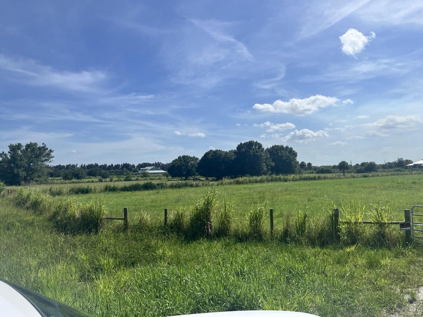 Beautiful 8.7 acres Discover the possibilities with this - photo 11
