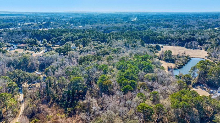 Discover the perfect opportunity to create your own Lowcountry - photo 7
