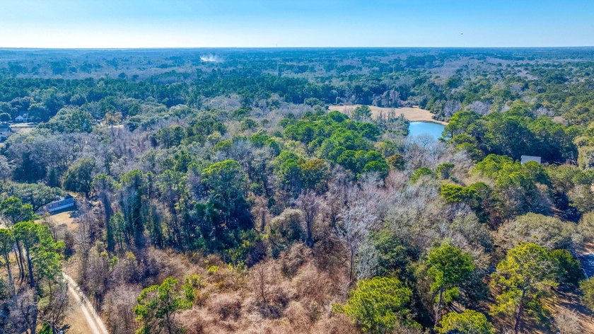 Discover the perfect opportunity to create your own Lowcountry - photo 8