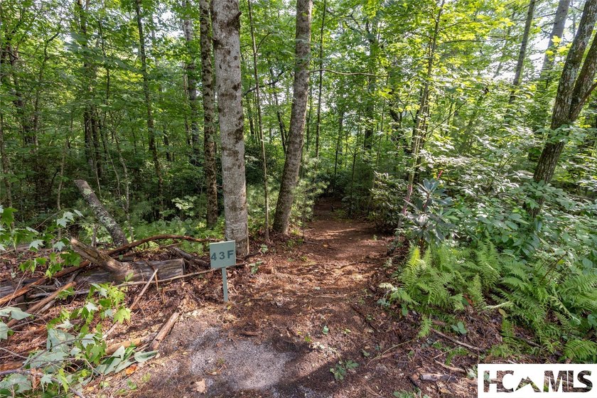 Offering extraordinary views down the newly renovated 13th hole - photo 10