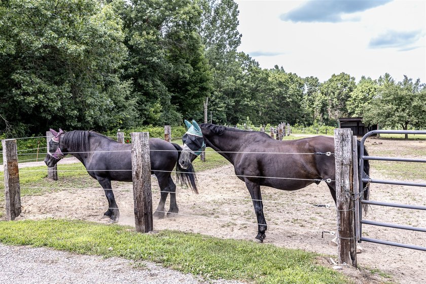 Located on 40 acres in west Central Wisconsin, this property not - photo 5