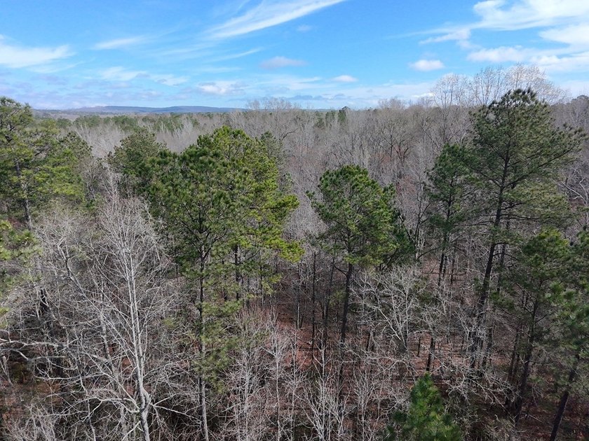 21.5 acres located just north of Waverly Hall offering a great - photo 12