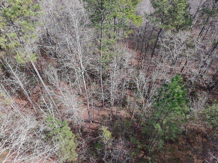 21.5 acres located just north of Waverly Hall offering a great - photo 15