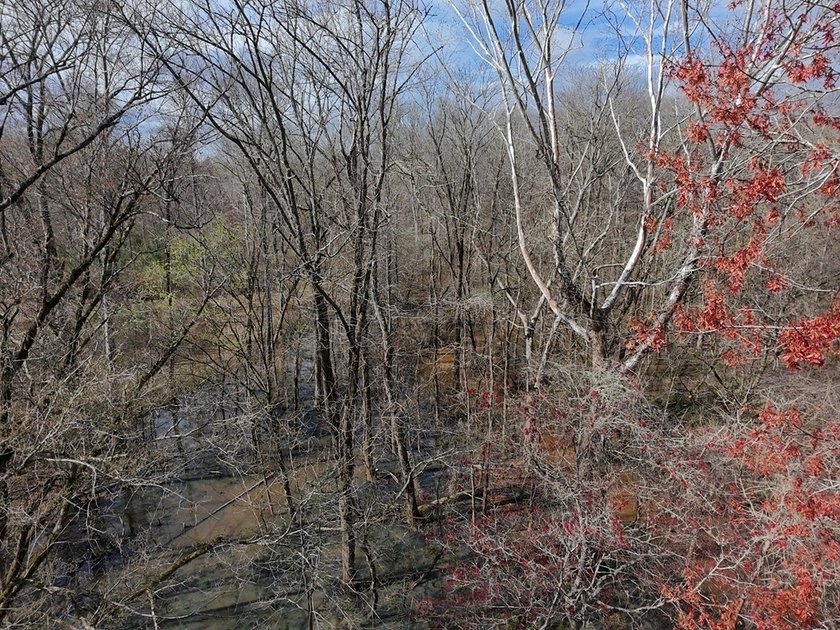 21.5 acres located just north of Waverly Hall offering a great - photo 17