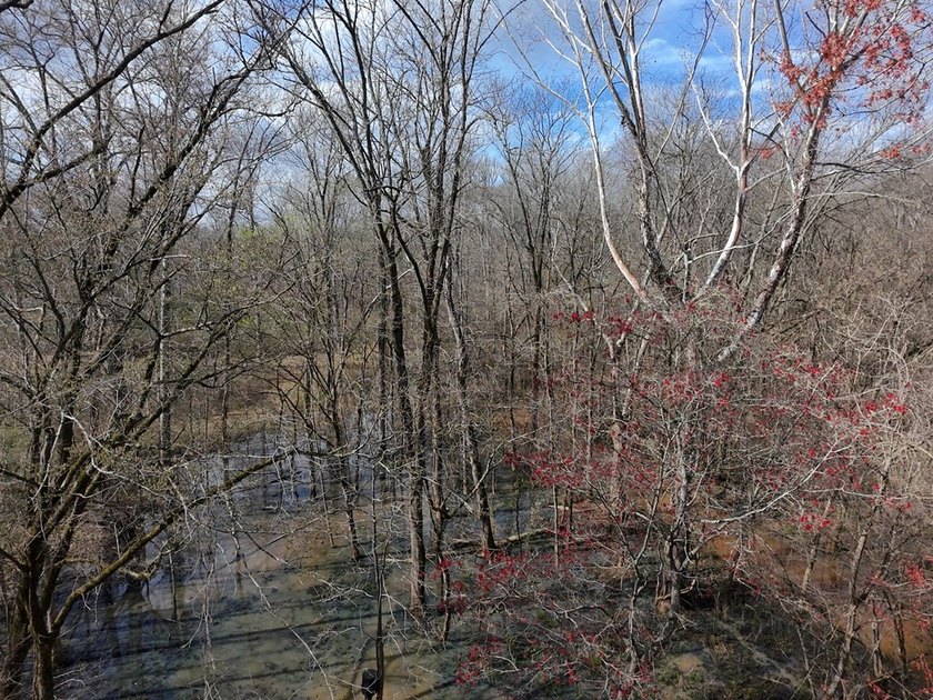 21.5 acres located just north of Waverly Hall offering a great - photo 22