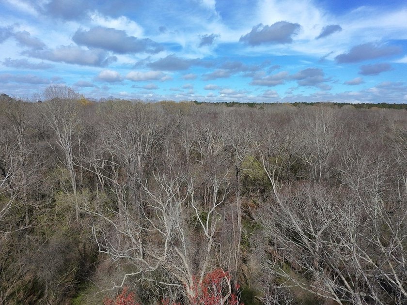 21.5 acres located just north of Waverly Hall offering a great - photo 23