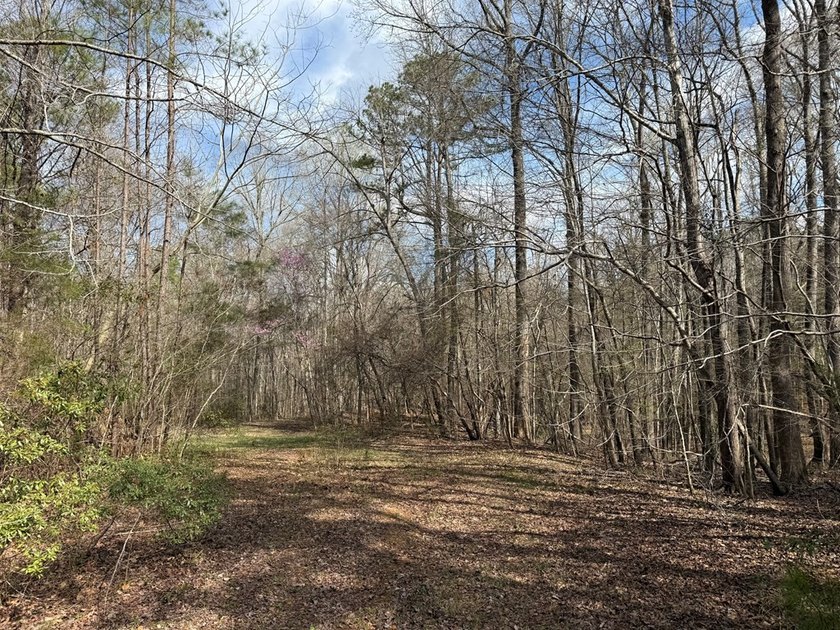 21.5 acres located just north of Waverly Hall offering a great - photo 27