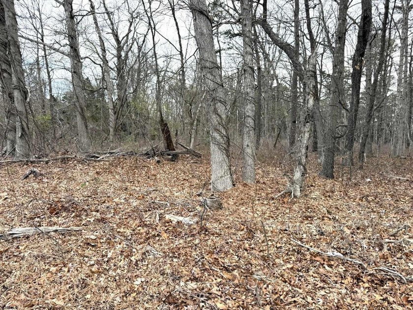 VACANT COMMERICAL LAND, just under 5 Acres of Prime Commercial - photo 3