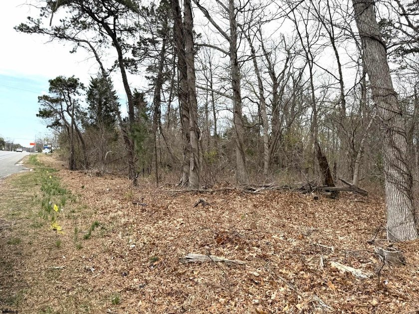 VACANT COMMERICAL LAND, just under 5 Acres of Prime Commercial - photo 4