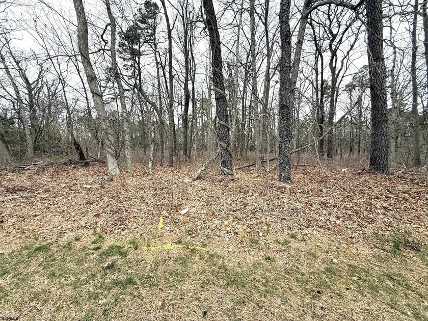 VACANT COMMERICAL LAND, just under 5 Acres of Prime Commercial - photo 6